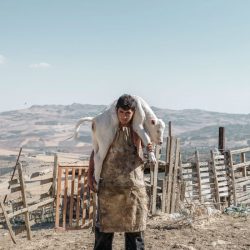 2481_7385_RoselenaRamistella_Italy_Professional_NaturalWorldWildlife2018Professionalcompetition_2018-1180x700