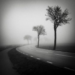 HakanStrand_03-768x720@2x