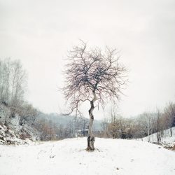 JiuValley_3-1680x1680