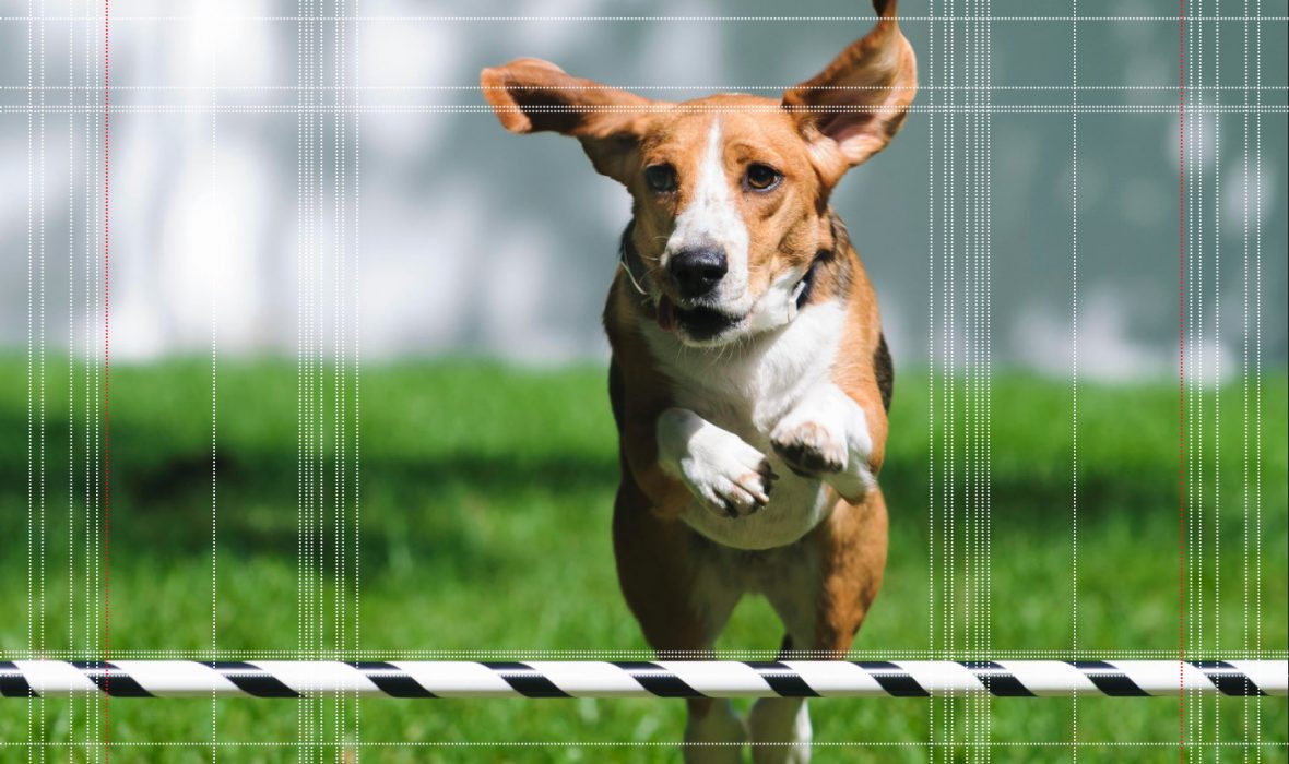 Ashampoo_Snap_2018.11.28_13h29m24s_012_