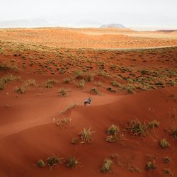 Namibia-20161015-CF001978-0108