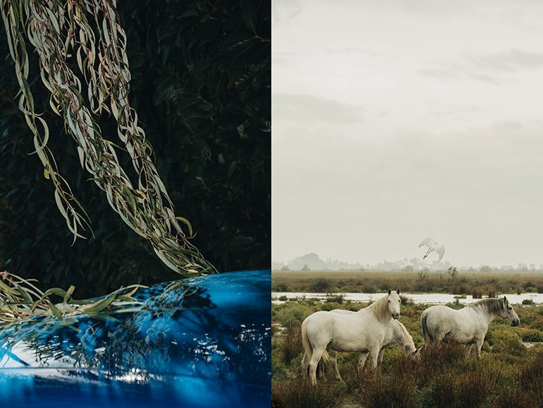 Photo-Letizia-LE-FUR-pour-la-Carte-blanche-Alpine-x-Leica-HIT-THE-ROAD_2