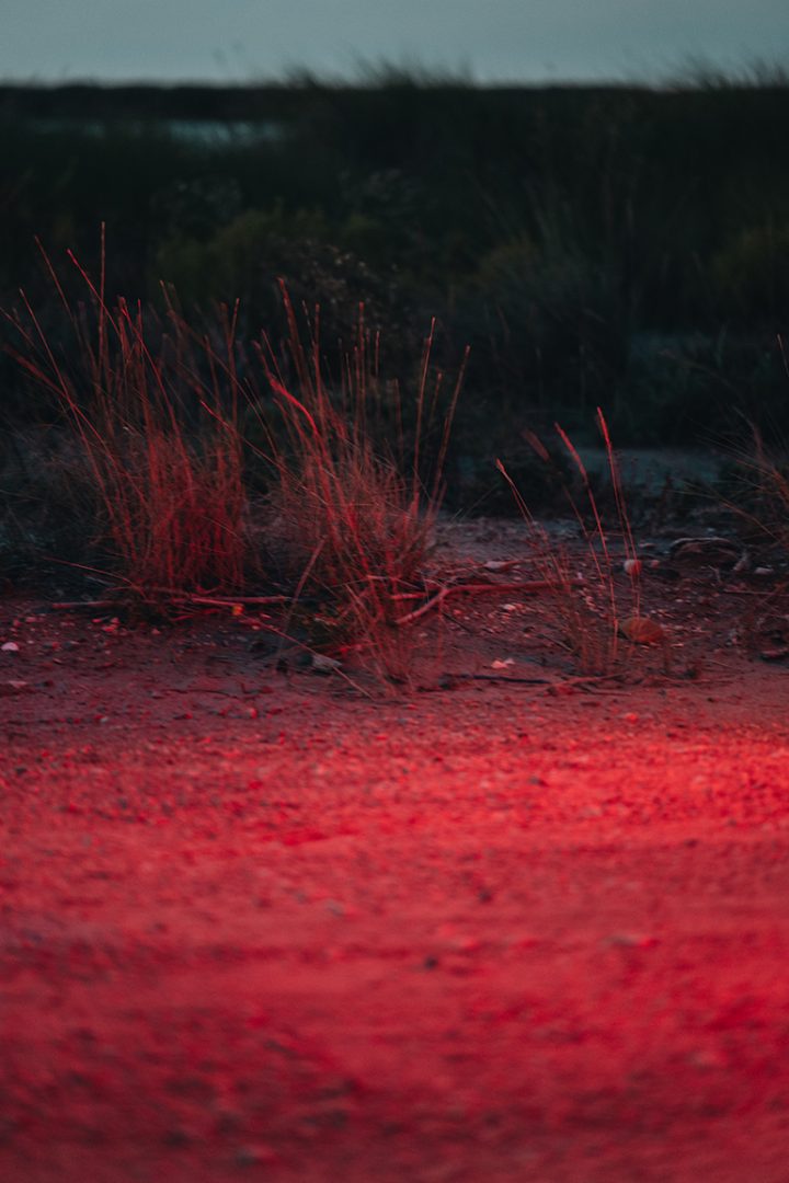 Photo-Letizia-LE-FUR-pour-la-Carte-blanche-Alpine-x-Leica-HIT-THE-ROAD_3