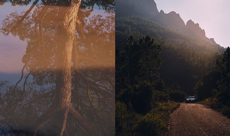 Photo-Letizia-LE-FUR-pour-la-Carte-blanche-Alpine-x-Leica-HIT-THE-ROAD_5