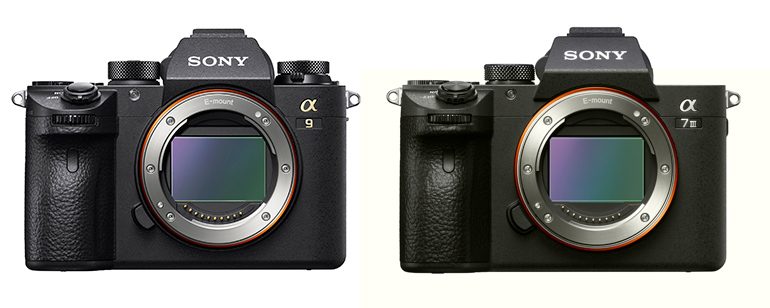 canon-nikon-hybrides-6