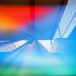 dubble-film-jelly-05-1000px