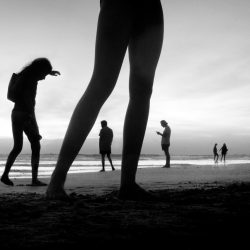 thumbnail_Looking for turtles