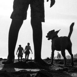 thumbnail_My dog and I-1