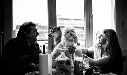 2019-02-proj-jeune-occitanie-grand