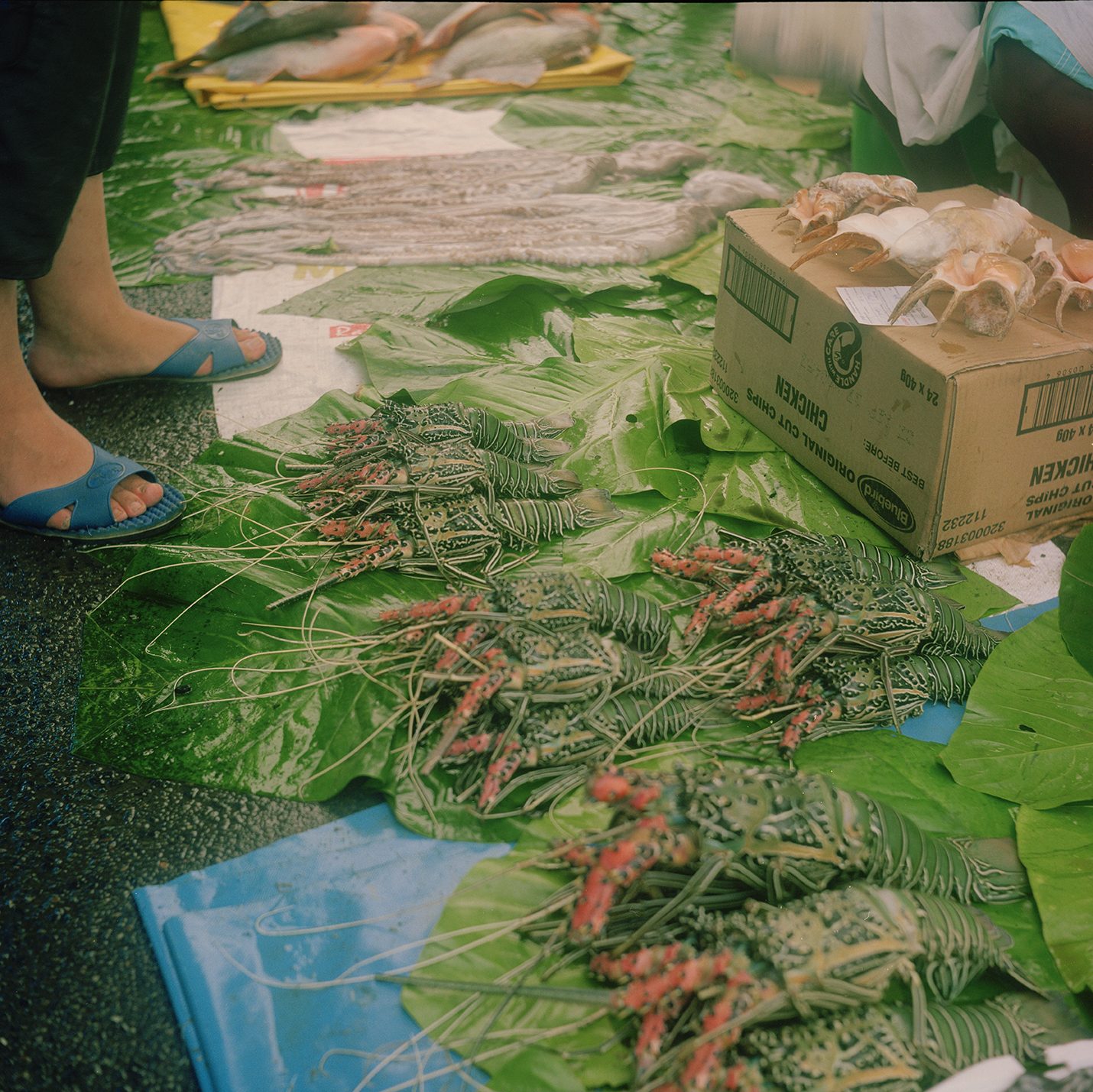 Fiji Times-2© Olivier Menanteau