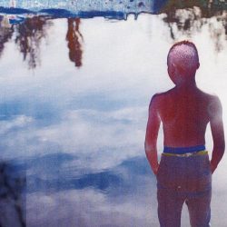 sandra-rocha-846x550