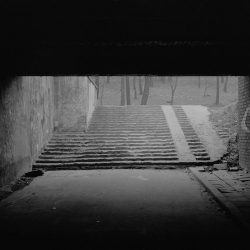 un-conte-polonais_width1024 (5)