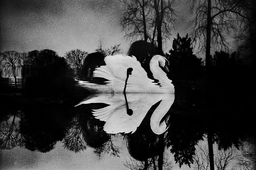 yusuf-sevincly-825x550