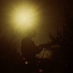 © LANIER Marine - Le soleil des loups - 1