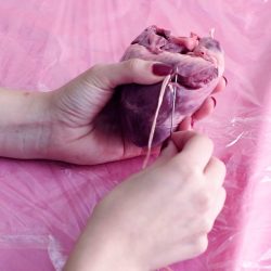 © PETERSEN Patricia - What rough beast; its hour come round at last1