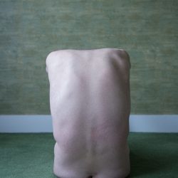 © ROSSER Chloe - Form and Function 3