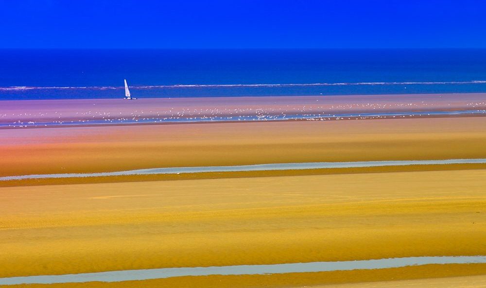 CHAR-A-VOILE-et-mouettes-1000x667