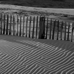 GANIVELLES-2-1030x550