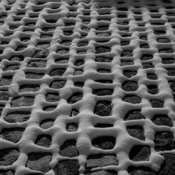 NEIGE-SUR-MES-PAVES-1030x687