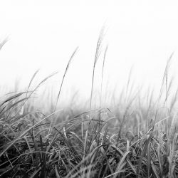 lomography-potsdam-kino-07-1000px