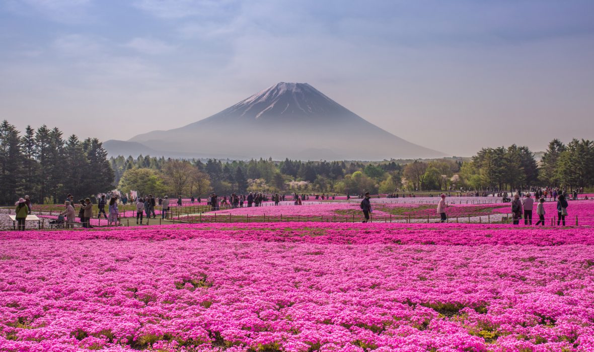 MontFujiHidenobuSuzuki-67589