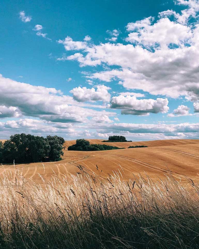 SHOT-ON-IPHONE-2019-8-Robert-@yungbrioche