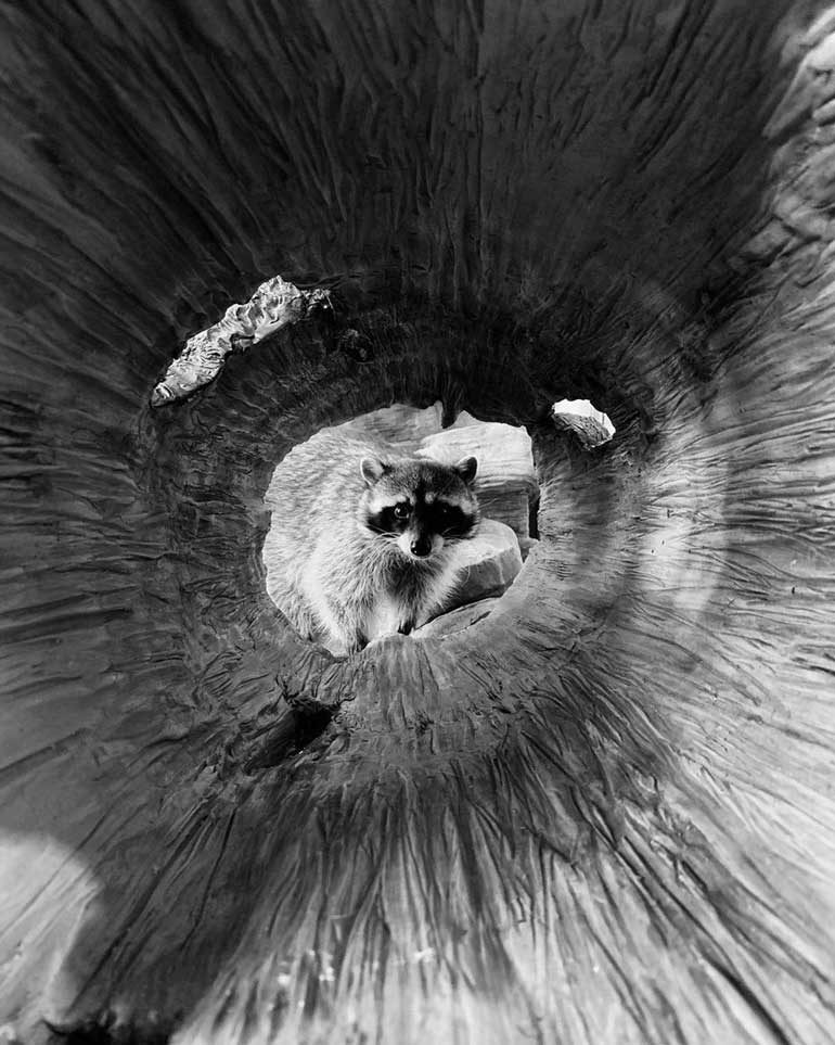 SHOT-ON-IPHONE-2019-9-Blake-Marvin-(@blakemarvin)