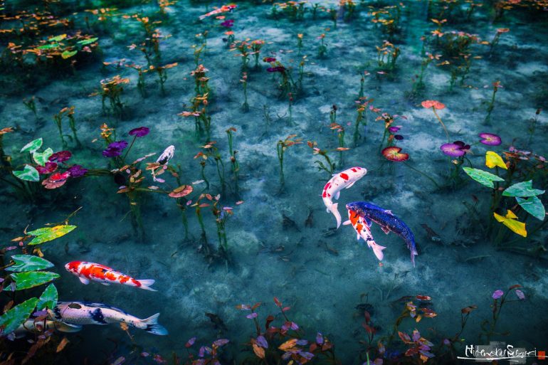 TheSilenceofEnchantementHide