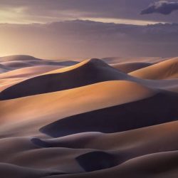 landscapephotographer201910