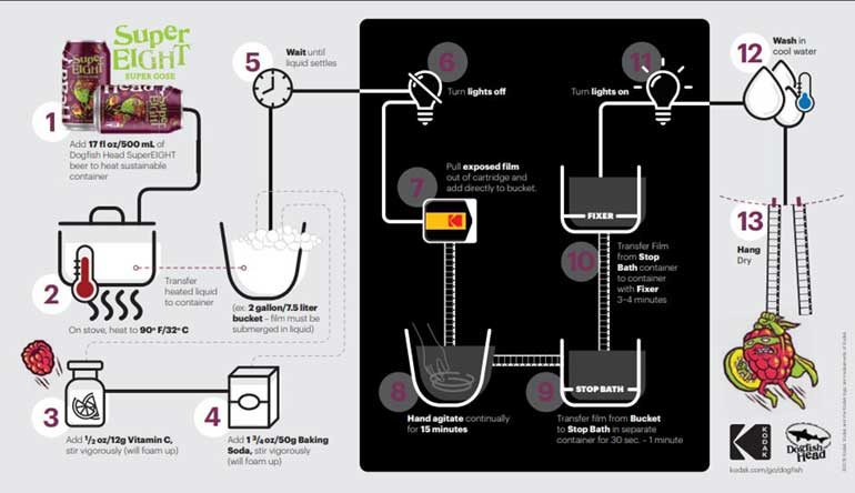 dogfish-super-height-3