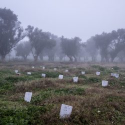 exodus_sergeyponomarev_11