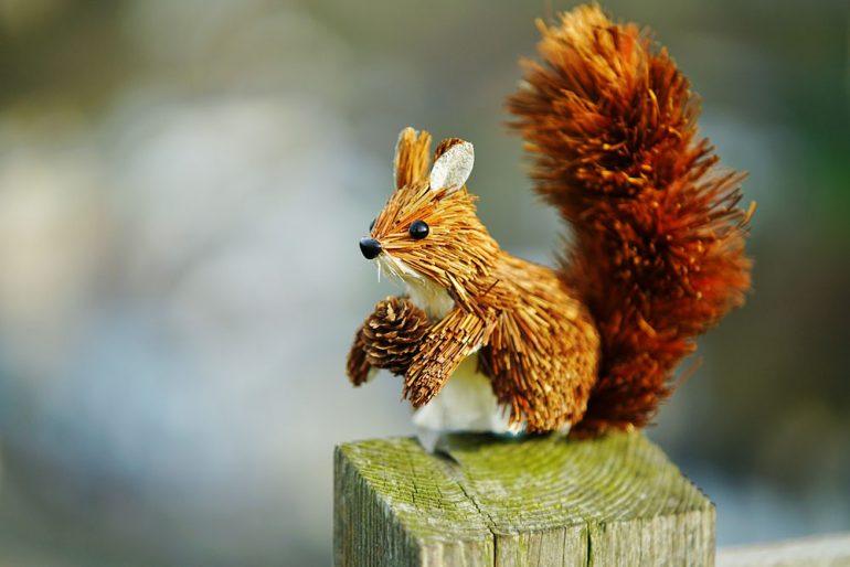 samyang-af-85mm-f1_4-fe-09-christopher-frost-1000px