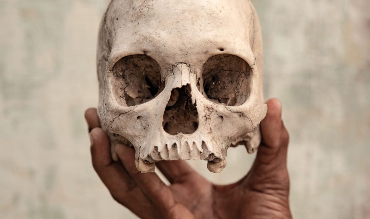 4589_4_13383_FedericoBorella_Italy_Professional_DocumentaryProfessional_2019