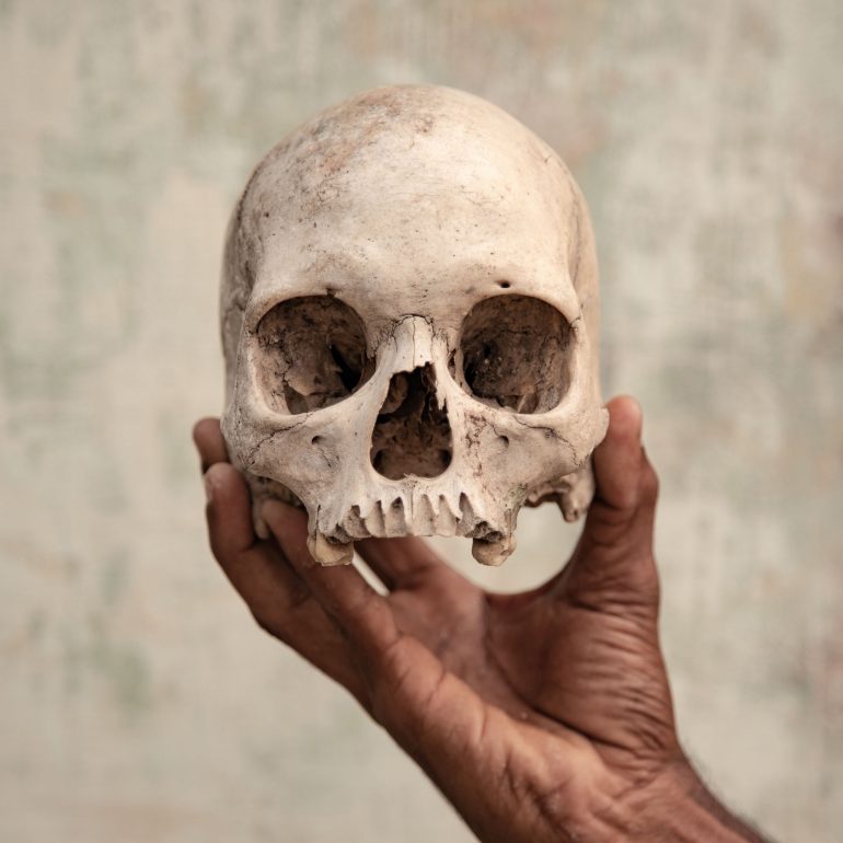 4589_4_13383_FedericoBorella_Italy_Professional_DocumentaryProfessional_2019