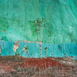 4597_6_13491_YanWangPreston_UnitedKingdom_Professional_LandscapeProfessionalcompetition_2019