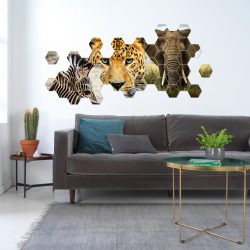 CEWE-hexxas-close-up