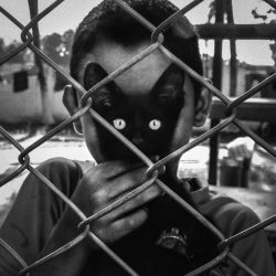 bb6bdfd00b119b7a346007b84992