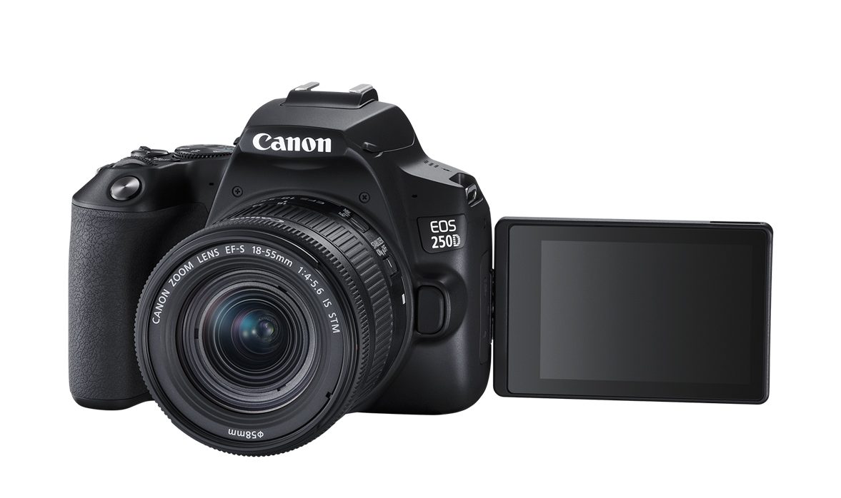 canon 250D couv