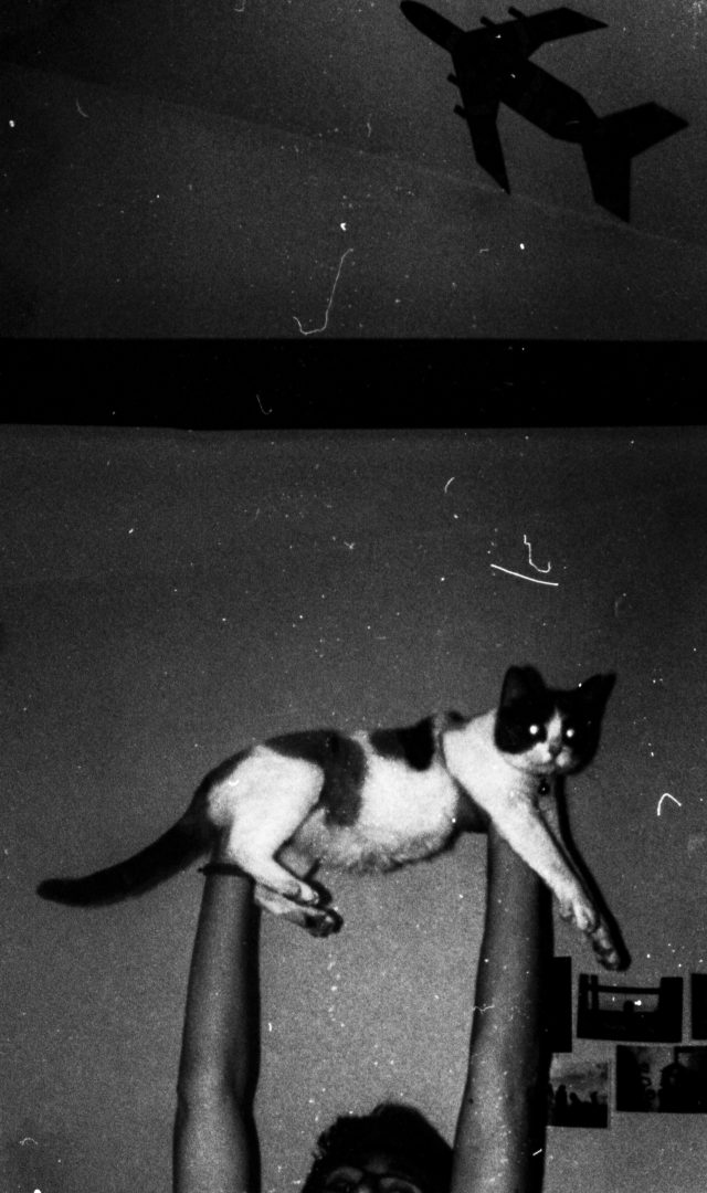 If you saw us # 1. Si l'on nous voyait #1.