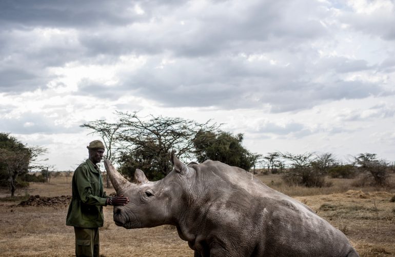 Justin-Mott-Fatu-and-Naji-Final-Story-019