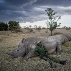 Justin-Mott-Fatu-and-Naji-Final-Story-020