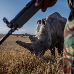 Justin-Mott-Fatu-and-Naji-Final-Story-022