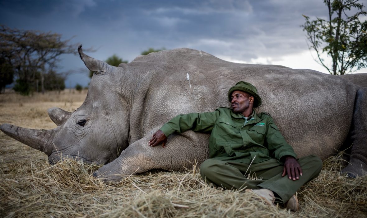 Justin-Mott-Fatu-and-Naji-Final-Story-551