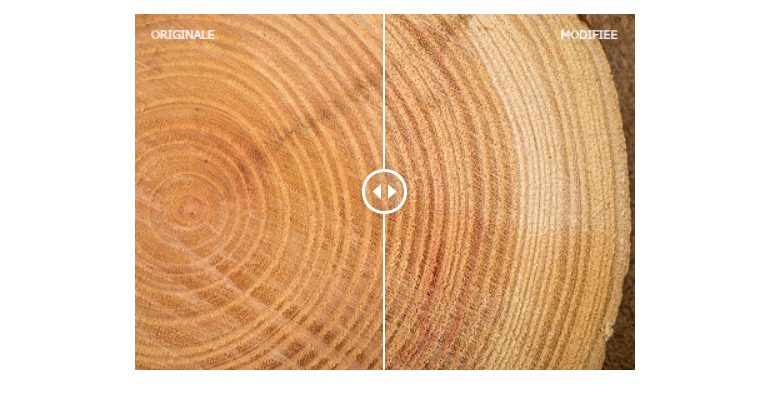 maj-lightroom-mai-2019-9