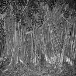 pl-2019---15-preselectionnes---700x460---180---maxime-brygo2