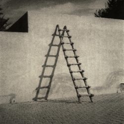 Dominic_Turner-False_Friends-Escape_Route_No_73