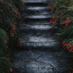 18-3rd-FLORAL-Chuangcheng Jin