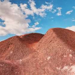 20-2nd-LANDSCAPE-Erik Burdett