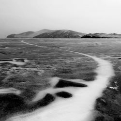 21-3rd-LANDSCAPE-Guoxi Chen