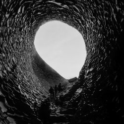 25-1st-NATURE-HueiJiuan Wang